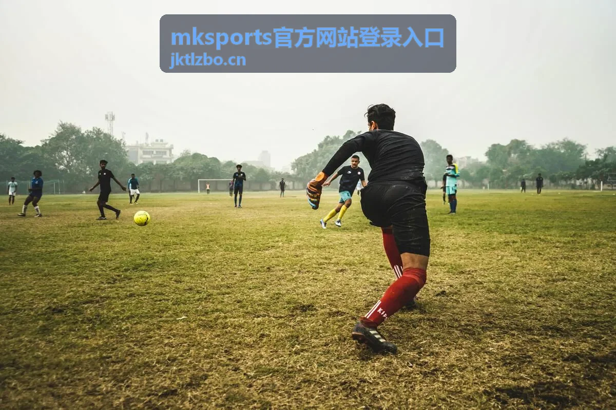mksports官方网站登录入口 密码与验证方式设置示意